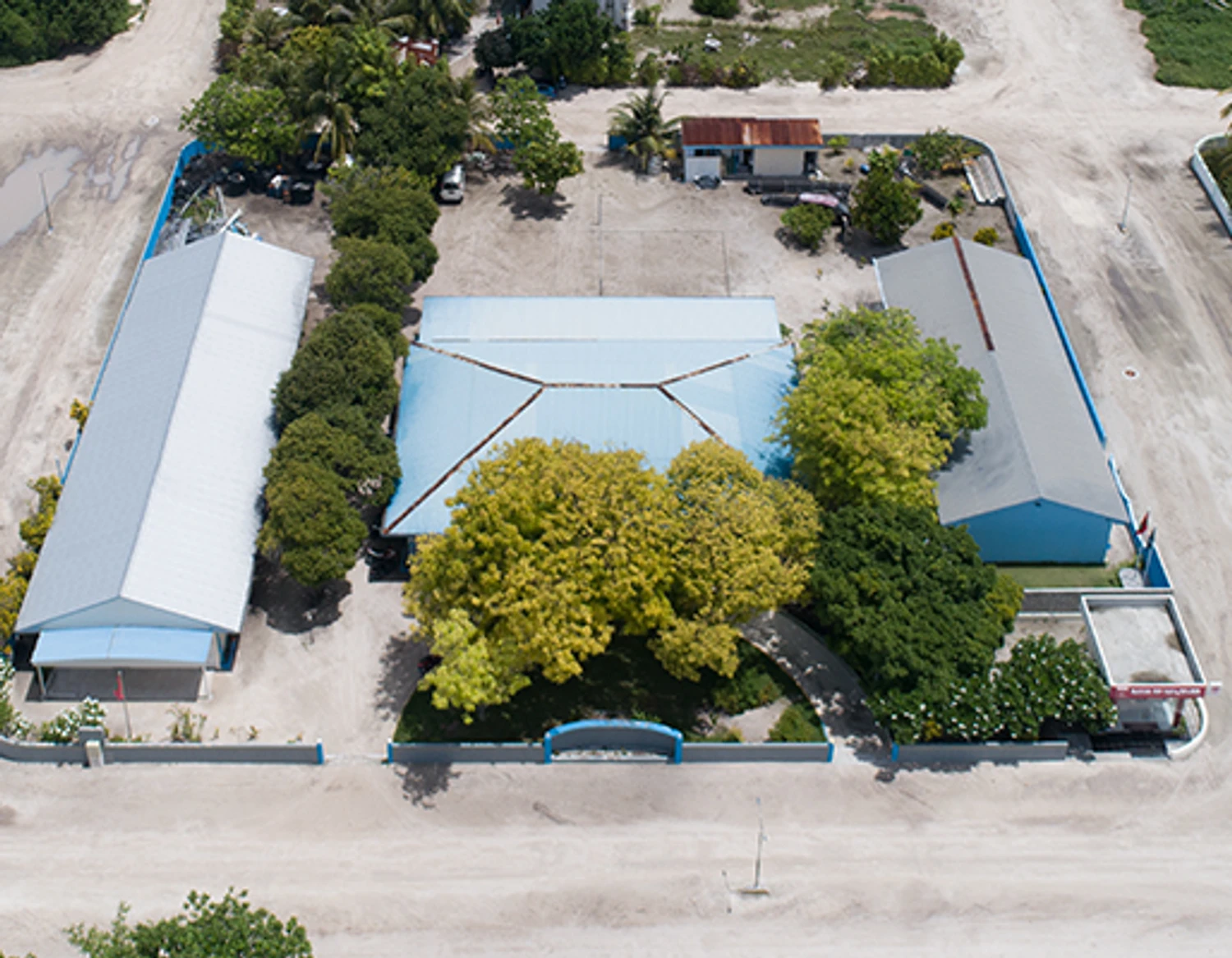 Establishment of ice plant
